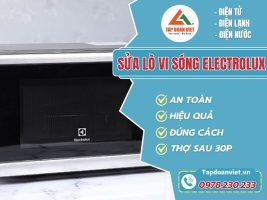 Sua Lo Vi Song Electrolux Tapdoanviet