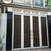 cua cong sat 4 canh gia go 1