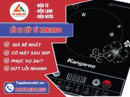 loi e2 bep tu kangaroo tapdoanviet