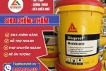 Sika Chong Tham Chinh Hang Tapdoanviet