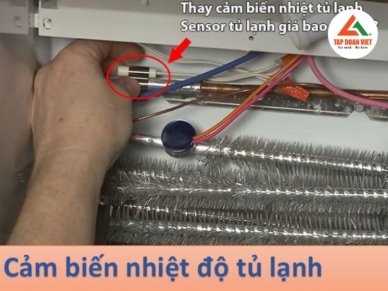 Cam kết của trung tâm bảo hành tủ lạnh Hitachi chính hãng