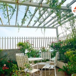 mai kinh san thuong dep cau tao